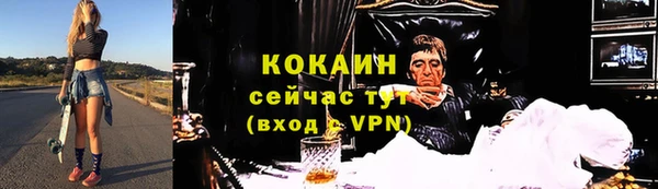 ПСИЛОЦИБИНОВЫЕ ГРИБЫ Карпинск