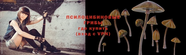 бошки Карталы