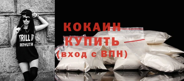 ПСИЛОЦИБИНОВЫЕ ГРИБЫ Карпинск