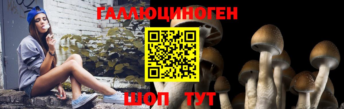 Галлюциногенные грибы MAGIC MUSHROOMS  Вход с VPN  Саратов  Галлюциногенные грибы ЛСД 