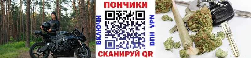 Конопля Bruce Banner  купить  сайты  Саратов 